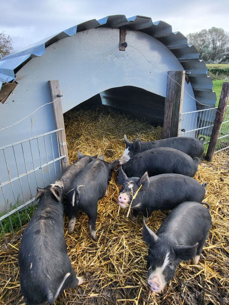 0deb77659b6779a4c6b3b734d49b35b6