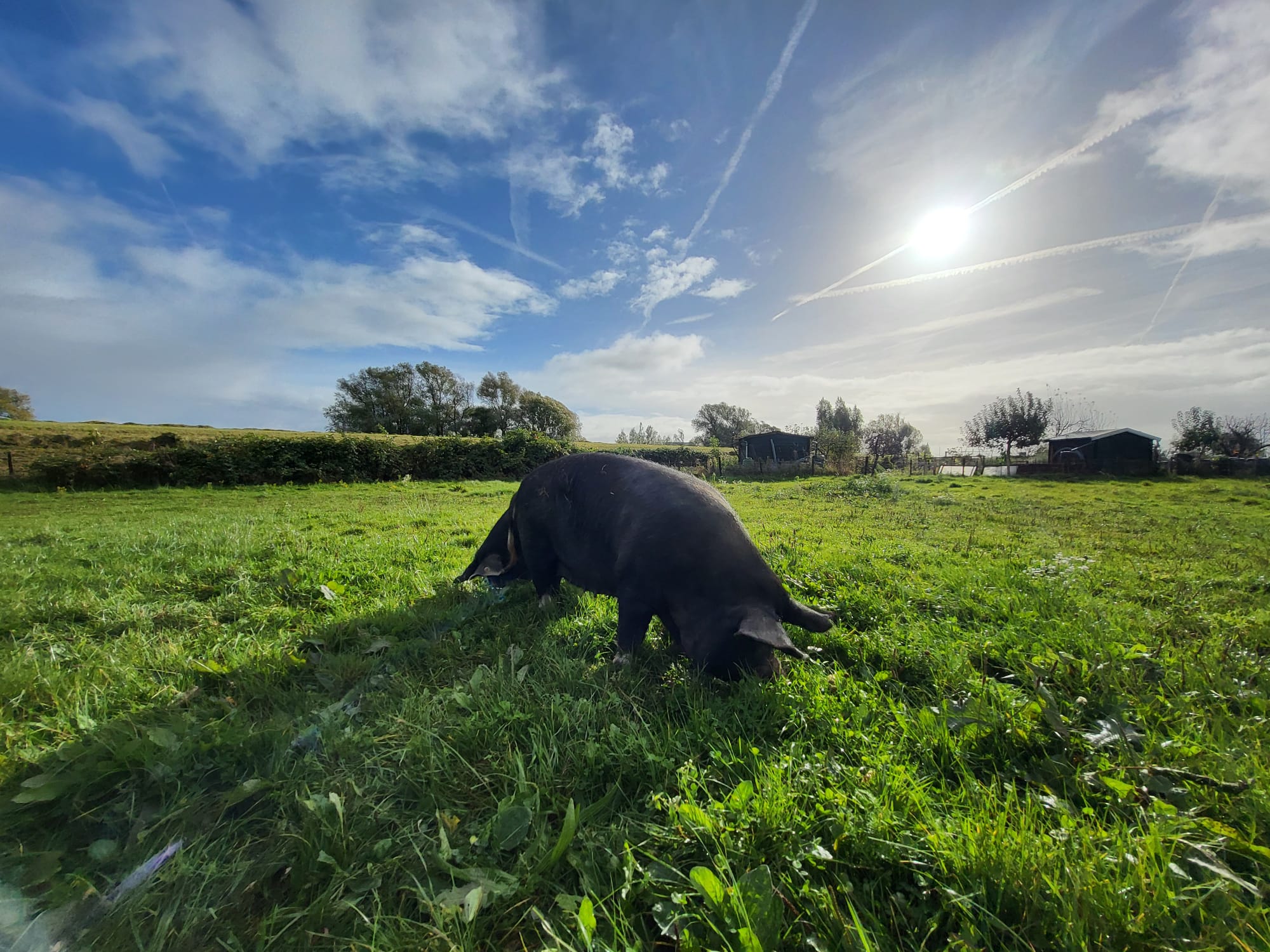 171b8bf4-f15c-450c-a5e0-ca4f6886ff13